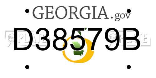 D38579B Georgia License Plate