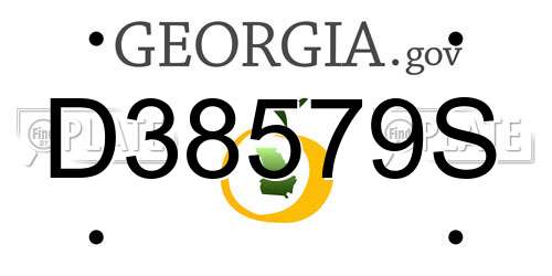 D38579S Georgia License Plate