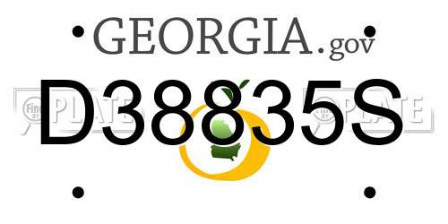 D38835S Georgia License Plate