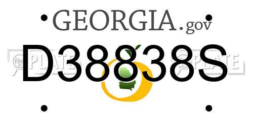 D38838S Georgia License Plate