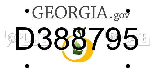 D388795 Georgia License Plate