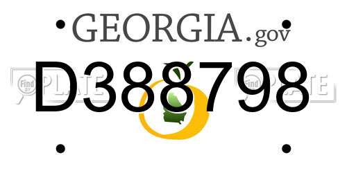 D388798 Georgia License Plate
