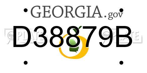 D38879B Georgia License Plate