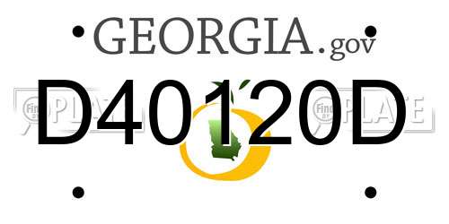 D40120D Georgia License Plate