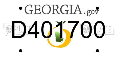 D401700 Georgia License Plate
