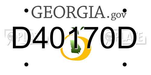 D40170D Georgia License Plate