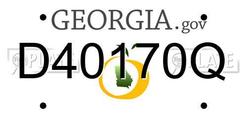 D40170Q Georgia License Plate
