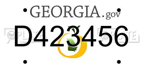 D423456 Georgia License Plate