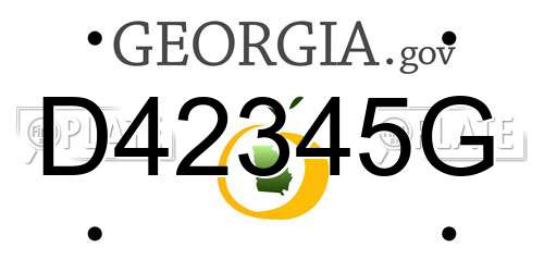 D42345G Georgia License Plate