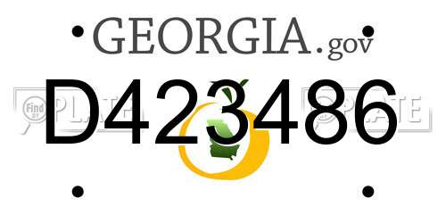 D423486 Georgia License Plate