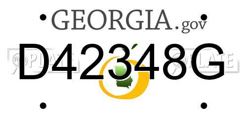 D42348G Georgia License Plate