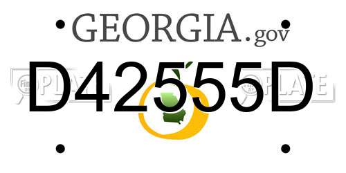 D42555D Georgia License Plate