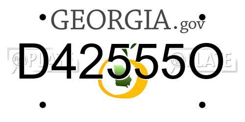 D42555O Georgia License Plate