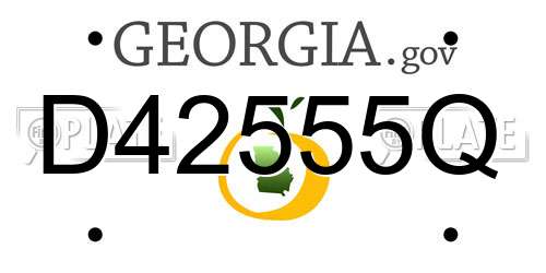 D42555Q Georgia License Plate