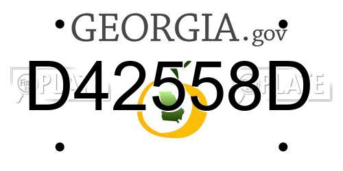D42558D Georgia License Plate