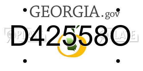 D42558O Georgia License Plate