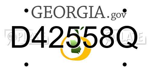 D42558Q Georgia License Plate