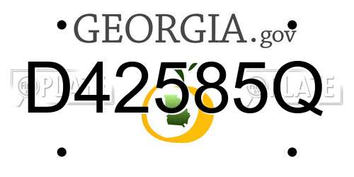 D42585Q Georgia License Plate