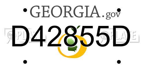 D42855D Georgia License Plate