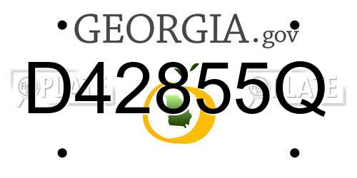 D42855Q Georgia License Plate
