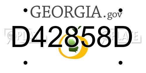 D42858D Georgia License Plate