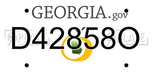 D42858O Georgia License Plate