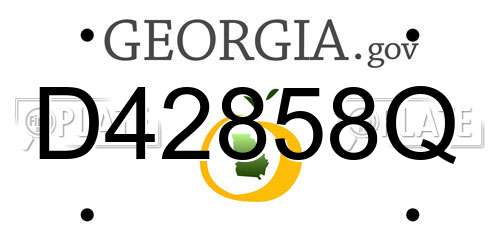 D42858Q Georgia License Plate