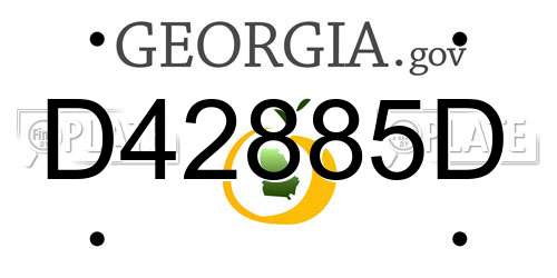 D42885D Georgia License Plate