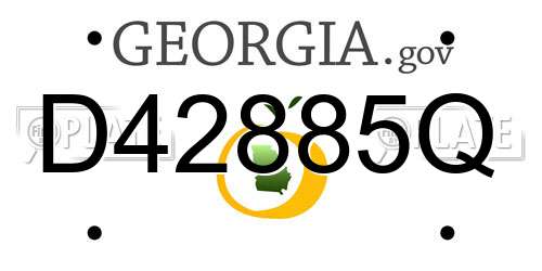 D42885Q Georgia License Plate