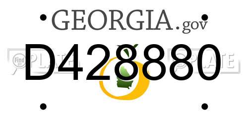 D428880 Georgia License Plate
