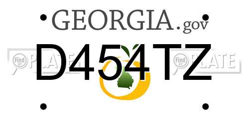 D454TZ Georgia License Plate