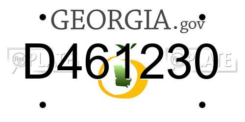 D461230 Georgia License Plate