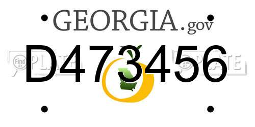 D473456 Georgia License Plate