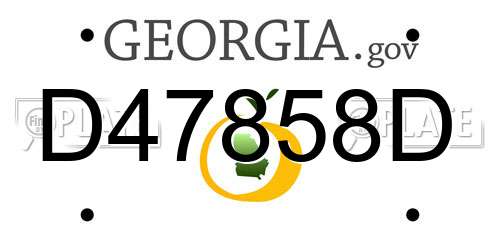 D47858D Georgia License Plate
