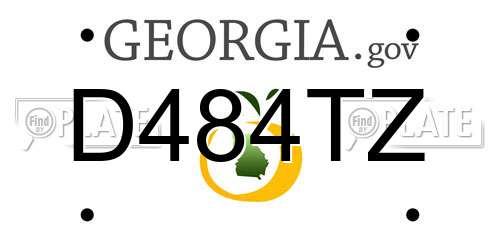 D484TZ Georgia License Plate