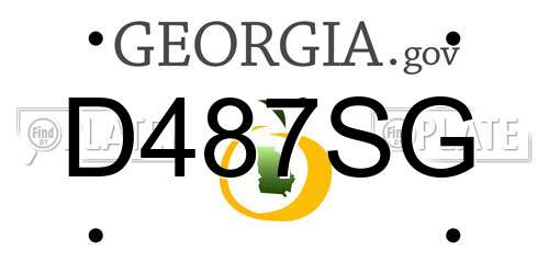 D487SG Georgia License Plate