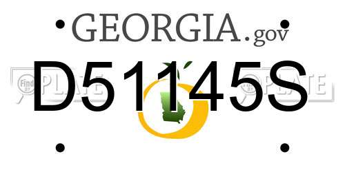 D51145S Georgia License Plate