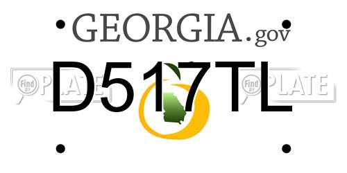 D517TL Georgia License Plate