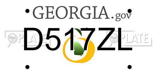 D517ZL Georgia License Plate