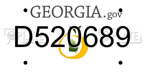 D520689 Georgia License Plate