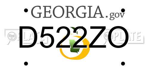 D522ZO Georgia License Plate