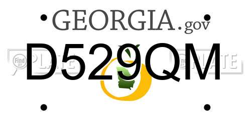 D529QM Georgia License Plate