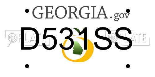 D531SS Georgia License Plate