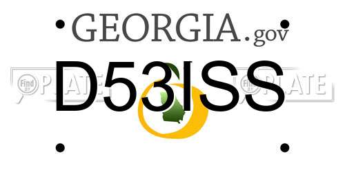 D53ISS Georgia License Plate