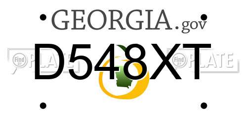 D548XT Georgia License Plate