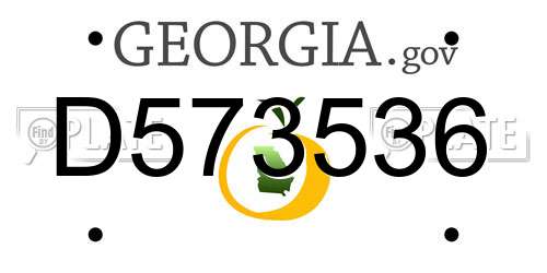 D573536 Georgia License Plate