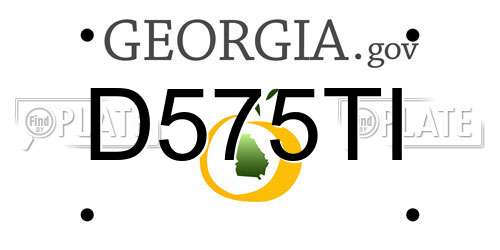 D575TI Georgia License Plate
