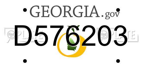 D576203 Georgia License Plate
