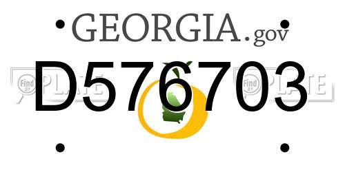 D576703 Georgia License Plate