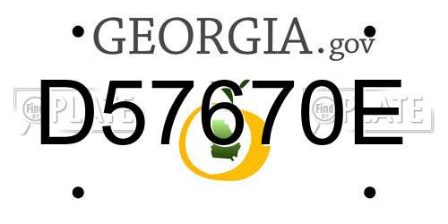 D57670E Georgia License Plate